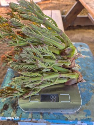 박성균님의 작성글 사진