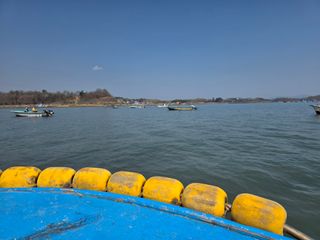 정영기대산축산농부♡님의 기타작물 · 영농일지 작성글 사진