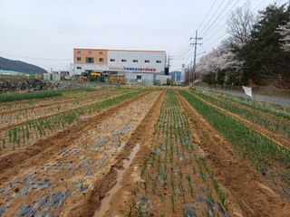 전원수님의 작성글 사진