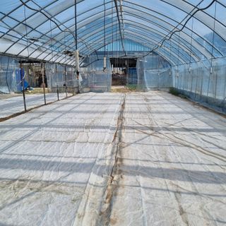 오학봉(멀티팜)님의 벼 · 영농일지 작성글 사진