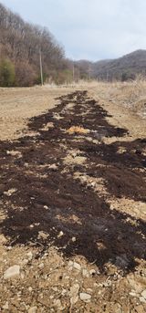 초보농부님의 작성글 사진