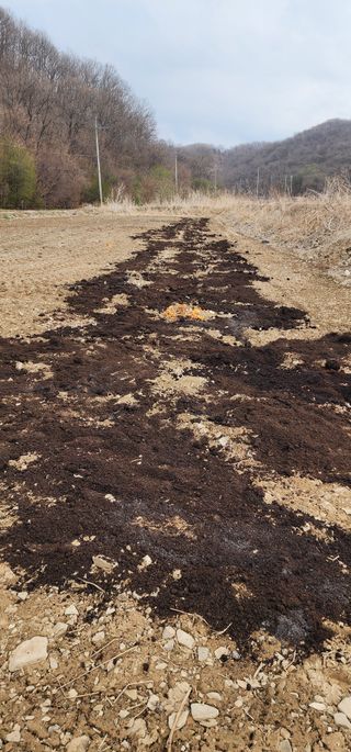 초보농부님의 감자 · 영농일지 작성글 사진