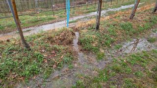 김중달님의 사과 · 영농일지 작성글 사진