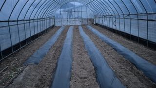 김용훈 님의 기타작물 · 영농일지 작성글 사진