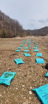 초보농부님의 작성글 사진