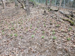 녹우농장님의 기타작물 · 영농일지 작성글 사진