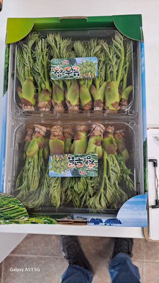 서인덕님의 기타작물 · 영농일지 작성글 사진