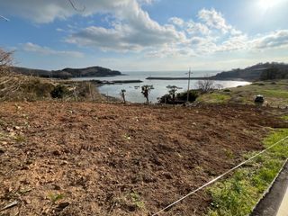 이병용님의 기타작물 · 영농일지 작성글 사진