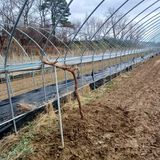 김진영님의 작성글 사진