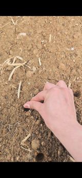 정서연님의 작성글 사진