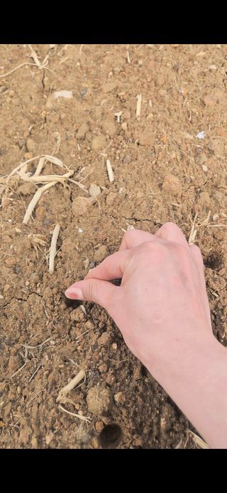 정서연님의 기타작물 · 영농일지 작성글 사진