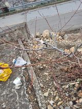 팜모닝 기타작물·영농일지 게시글 이미지