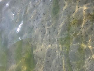 정영기대산축산농부♡님의 기타작물 · 영농일지 작성글 사진