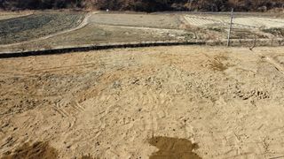 (자두)가랑농장님의 콩 · 영농일지 작성글 사진