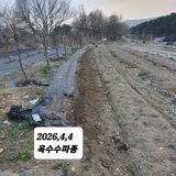 시민농장님의 작성글 사진