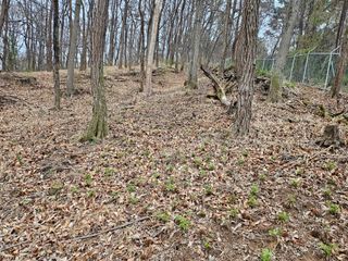 녹우농장님의 기타작물 · 영농일지 작성글 사진