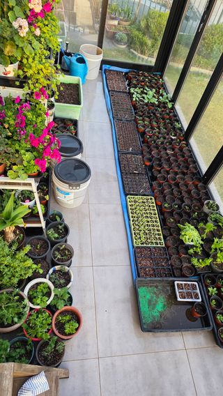 허인녕님의 호박 · 영농일지 작성글 사진