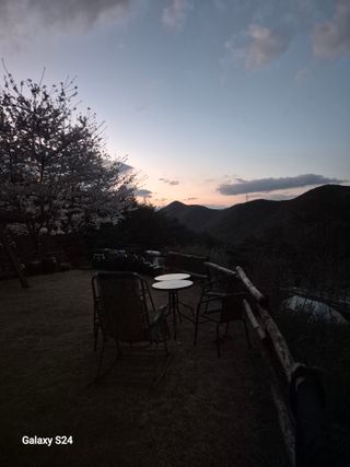 박성균님의 두릅 · 영농일지 작성글 사진