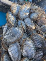 팜모닝 기타작물·영농일지 게시글 이미지