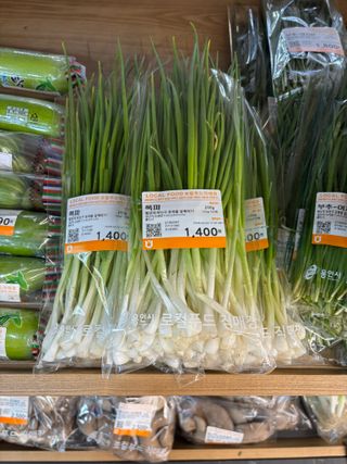 김영완님의 파 · 영농일지 작성글 사진