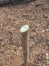 김대숙님의 작성글 사진