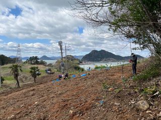 이병용님의 기타작물 · 영농일지 작성글 사진