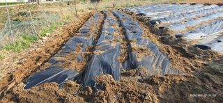 산골아찌님의 작성글 사진