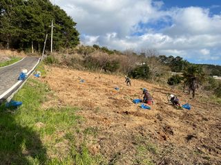 이병용님의 기타작물 · 영농일지 작성글 사진