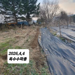 시민농장님의 작성글 사진