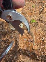 김대숙님의 작성글 사진