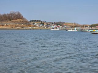 정영기대산축산농부♡님의 기타작물 · 영농일지 작성글 사진