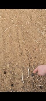 정서연님의 작성글 사진