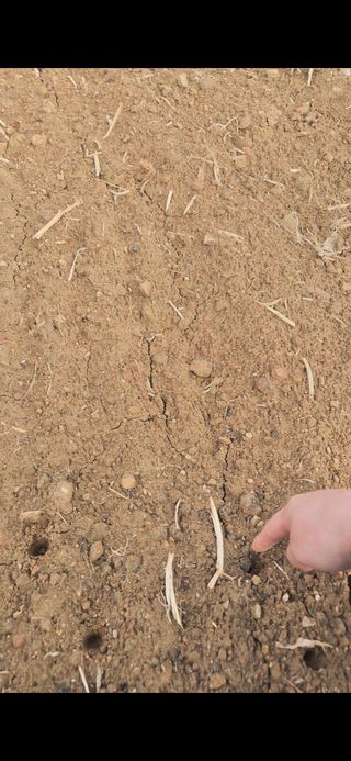 정서연님의 기타작물 · 영농일지 작성글 사진