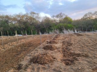 신승철님의 사과 · 영농일지 작성글 사진