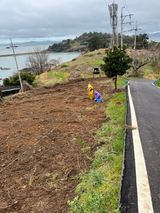 팜모닝 기타작물·영농일지 게시글 이미지