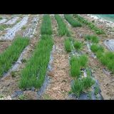 이갑덕님의 작성글 사진