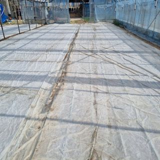 오학봉(멀티팜)님의 벼 · 영농일지 작성글 사진