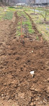 팜모닝 기타작물·영농일지 게시글 이미지