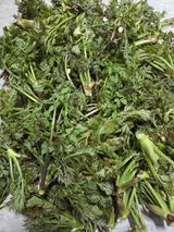 최은호님의 작성글 사진