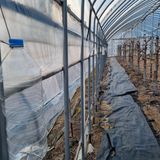 오학봉(멀티팜)님의 작성글 사진