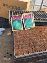 팜모닝 기타작물·영농일지 게시글 이미지