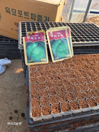 팜모닝회원 바이크농원님의 기타작물 · 영농일지 작성글 사진