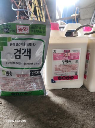 김종포님의 기타작물 · 영농일지 작성글 사진