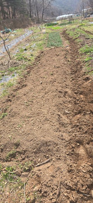 돌복숭아님의 기타작물 · 영농일지 작성글 사진
