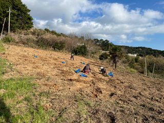 이병용님의 기타작물 · 영농일지 작성글 사진