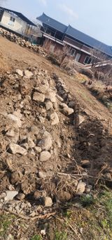 김제일님의 작성글 사진