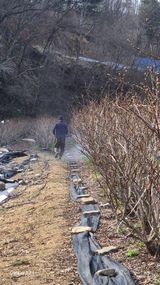 팜모닝 기타작물·영농일지 게시글 이미지