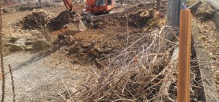 김제일님의 기타작물 · 영농일지 작성글 사진