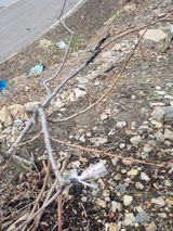 김용대님의 작성글 사진