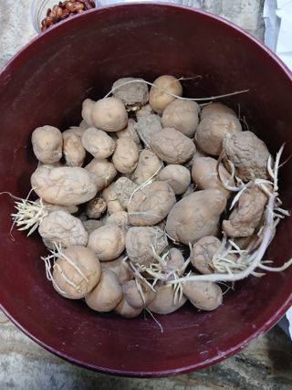 이갑덕님의 작성글 사진